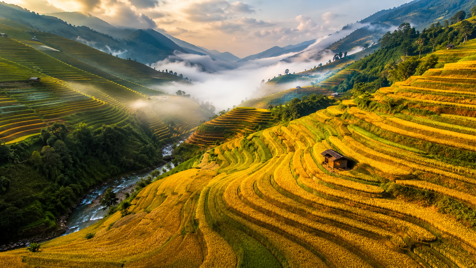 Vietnam — scenic rice terraces and landscape